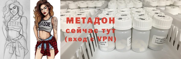 apvp Алзамай