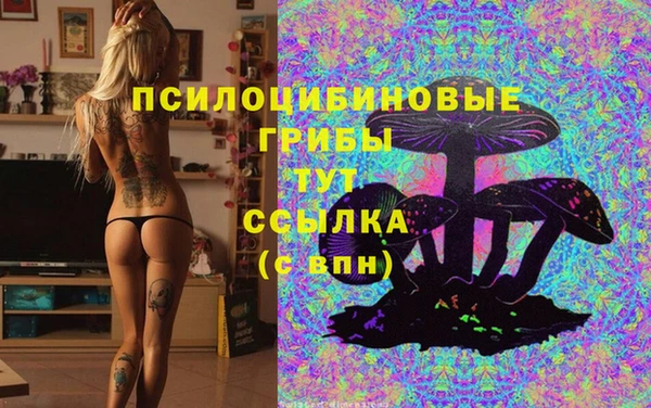 ГАЛЛЮЦИНОГЕННЫЕ ГРИБЫ Алексеевка