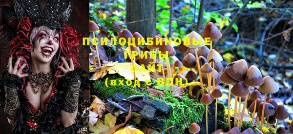 ГАЛЛЮЦИНОГЕННЫЕ ГРИБЫ Алексеевка