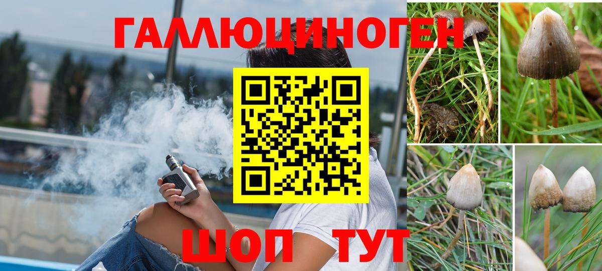 Псилоцибиновые грибы мицелий Углич